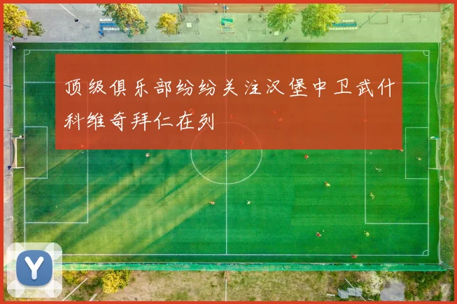 顶级俱乐部纷纷关注汉堡中卫武什科维奇拜仁在列