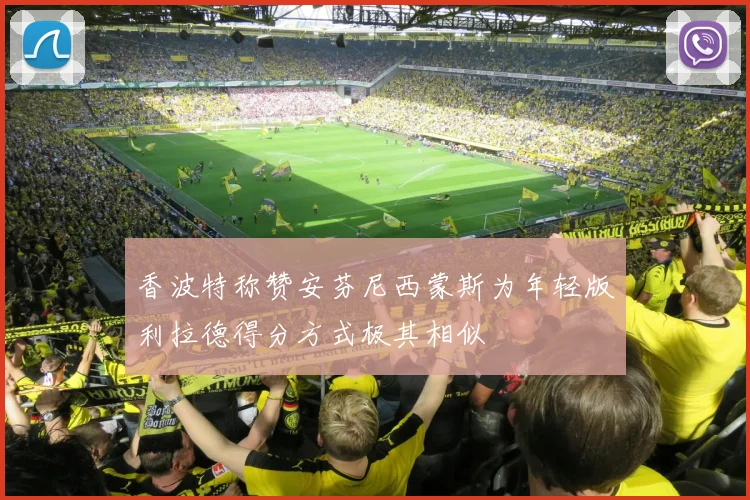 香波特称赞安芬尼西蒙斯为年轻版利拉德得分方式极其相似