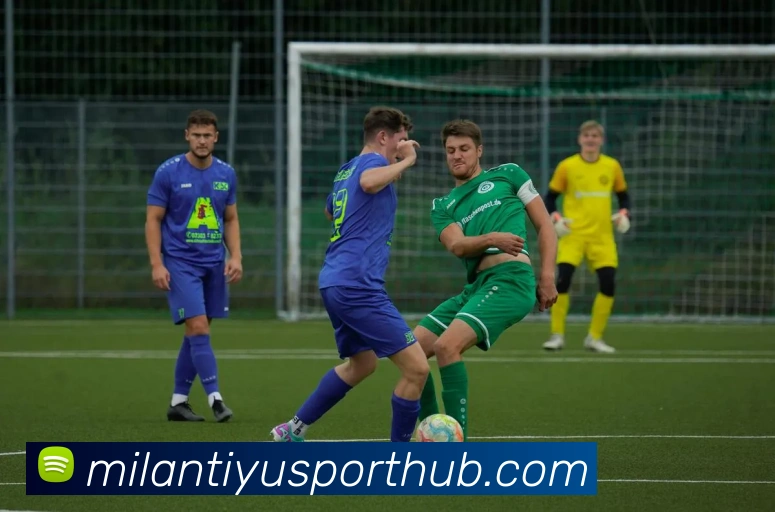 App Interface Preview