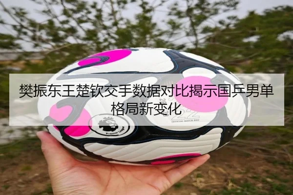 樊振东王楚钦交手数据对比揭示国乒男单格局新变化 | MILANSPORT